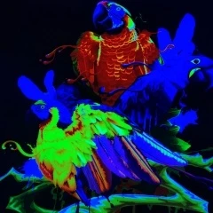 Encre de sublimation HD-NEON