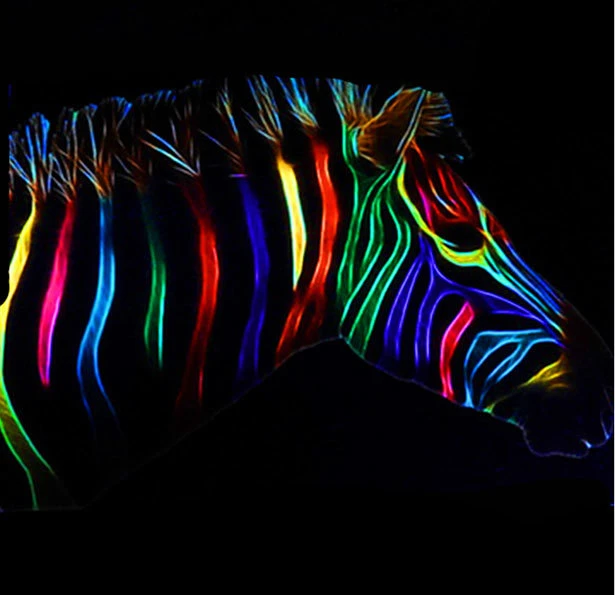 Encre fluorescente PRO DTF