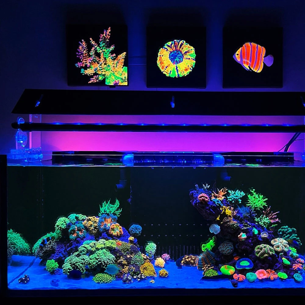 Encre fluorescente UV